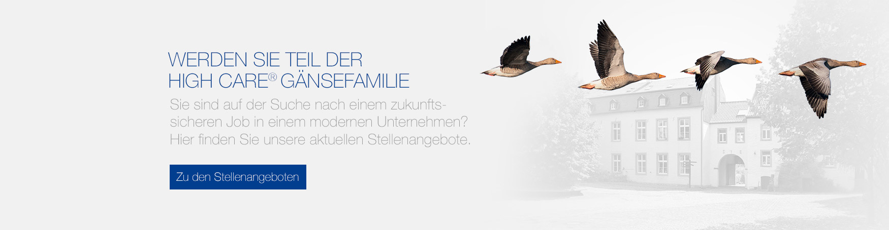 Teaser Karriere Stellenangebote