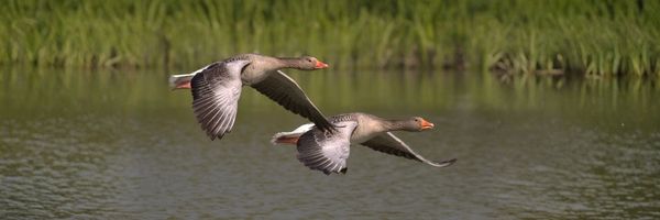 Warum das Thema zur Longevity-Idee von Weyergans passt