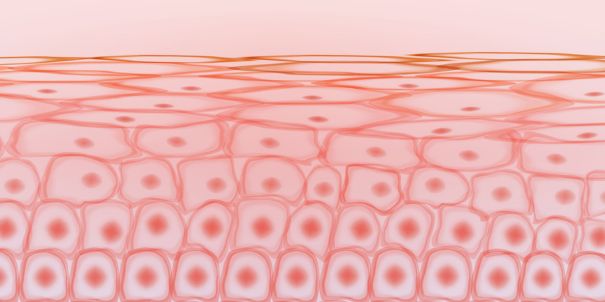 Praxisblick: Wie sich sensible Haut heute zeigt