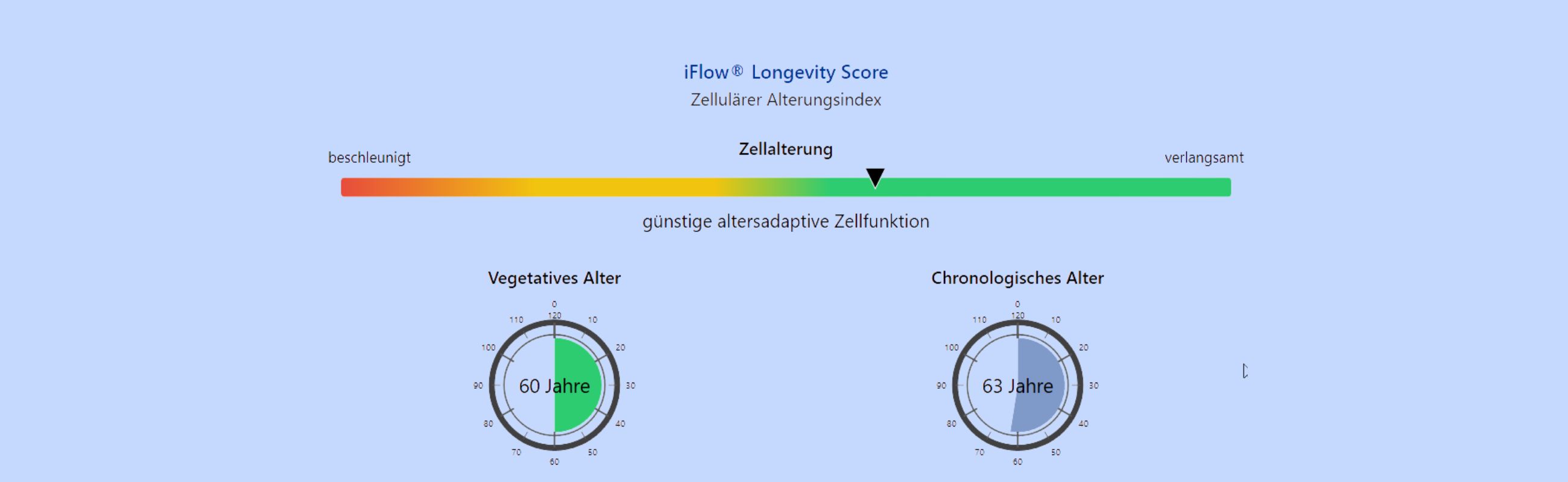 Die unterschätzte Kraft von Sinn und Gemeinschaft